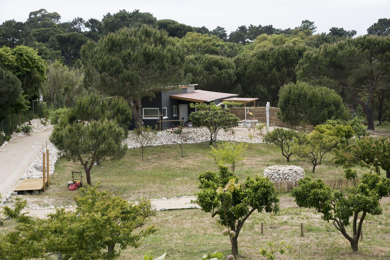 Quinta Do Meco - Beach & Nature อัลเดยา ดู แมโก ภายนอก รูปภาพ