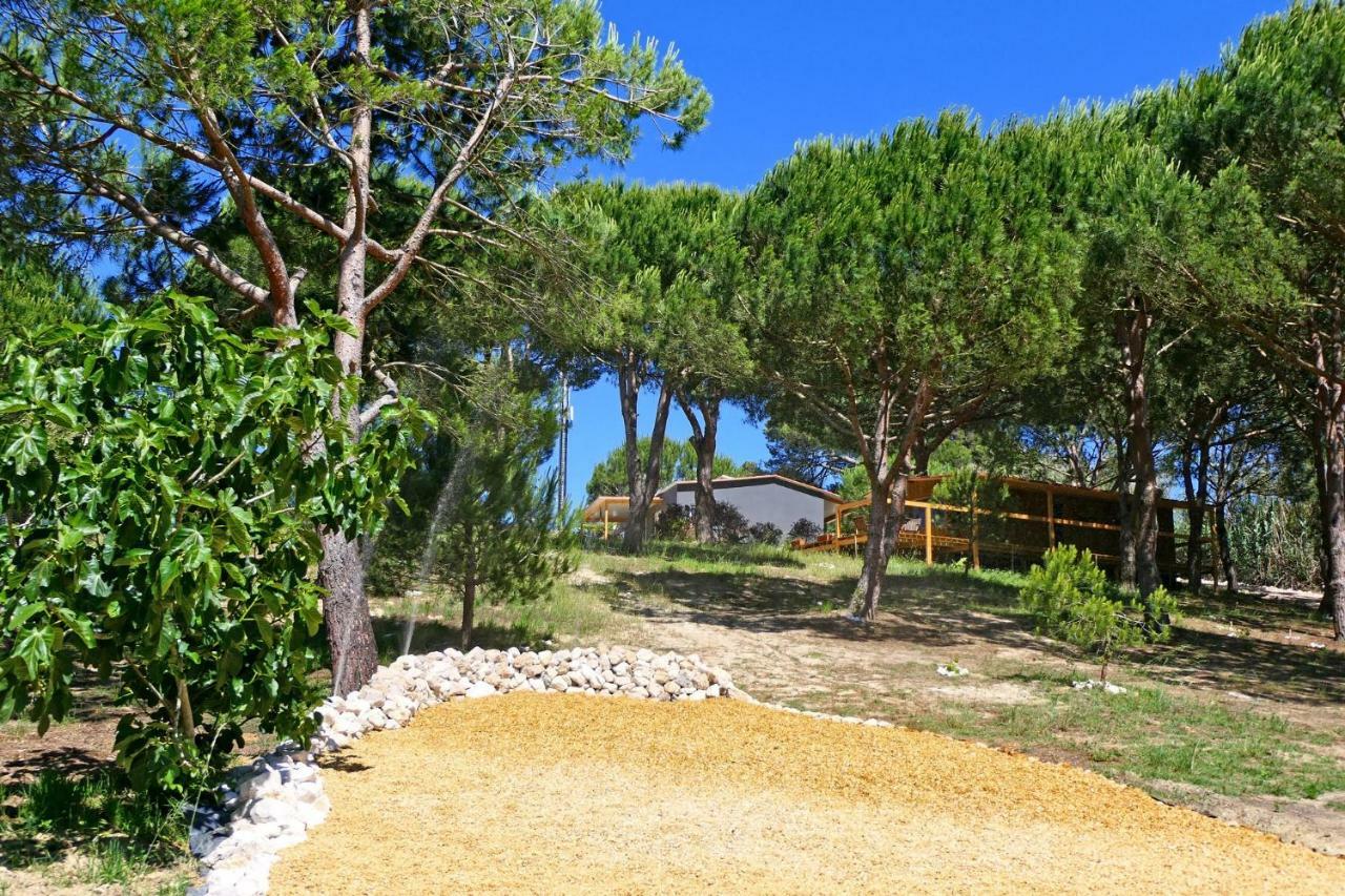 Quinta Do Meco - Beach & Nature อัลเดยา ดู แมโก ภายนอก รูปภาพ