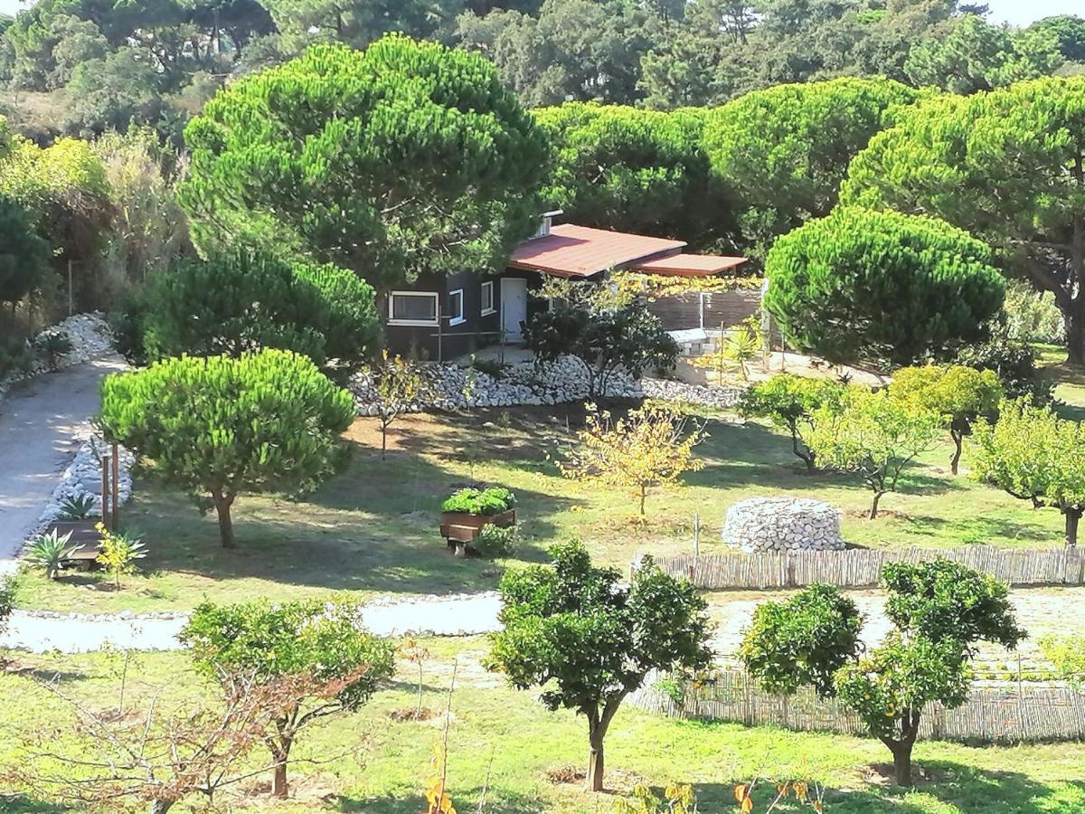 Quinta Do Meco - Beach & Nature อัลเดยา ดู แมโก ภายนอก รูปภาพ
